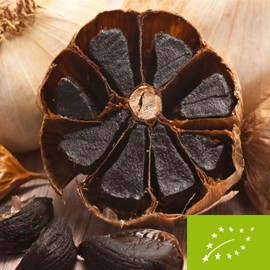 Black Garlic Honey